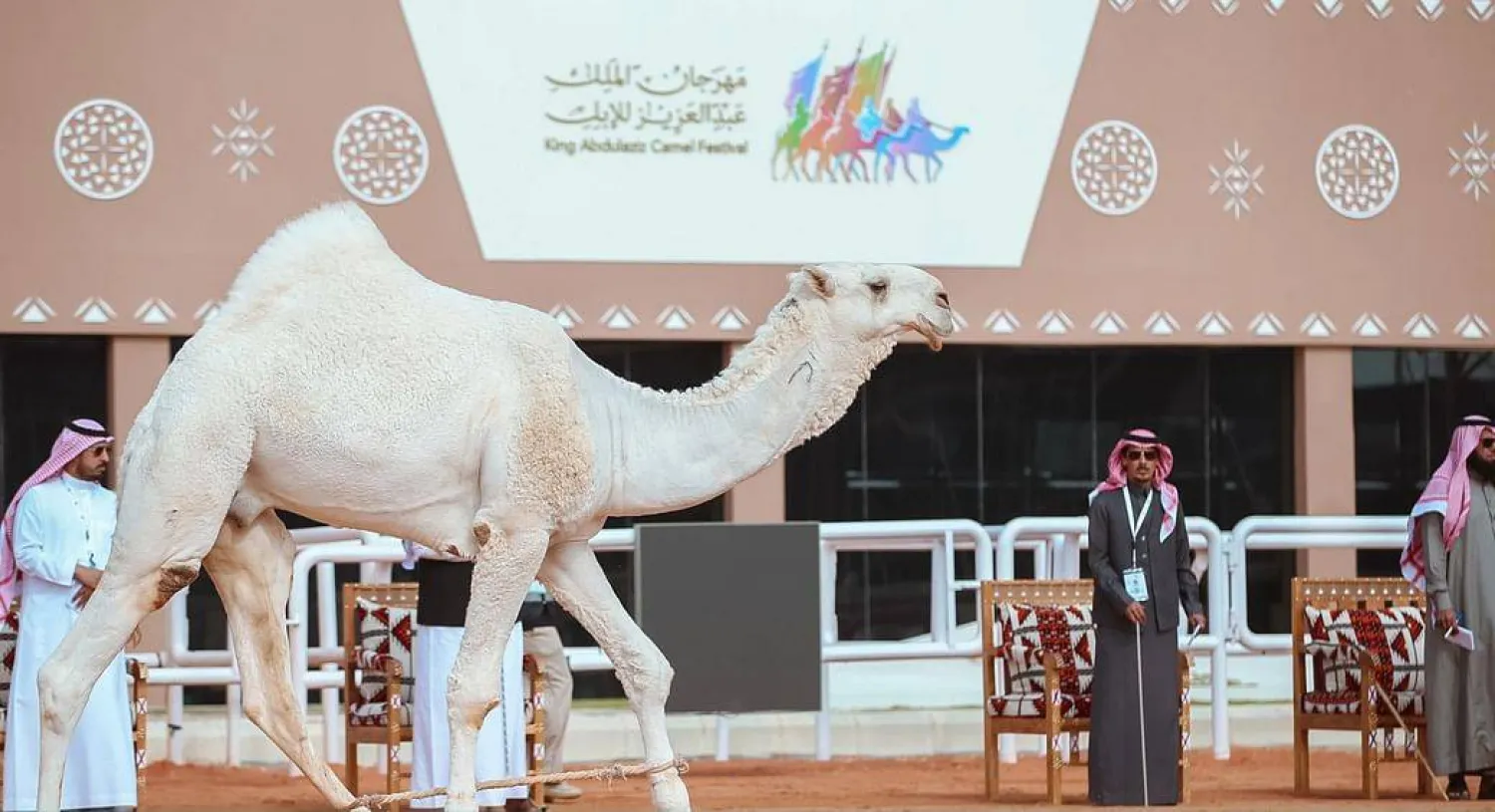 صورة من مهرجان الملك عبدالعزيز للإبل 2025 تجمع بين الإبل المشاركة والزوار في صياهد الدهناء