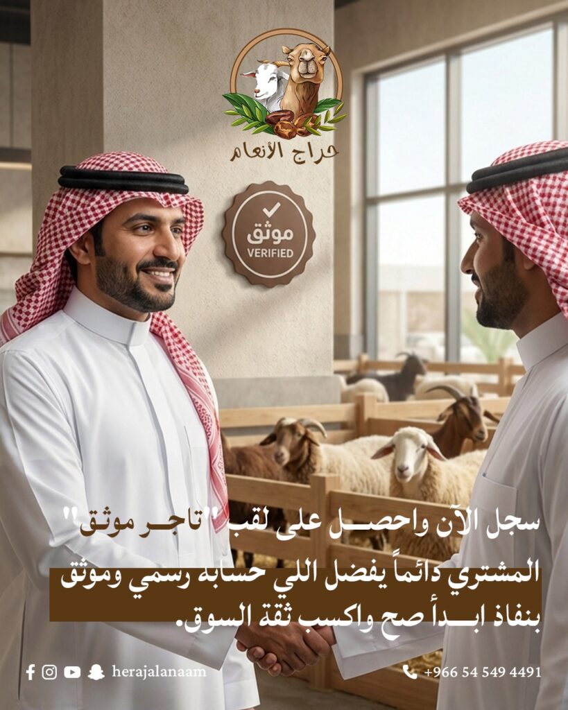 تُظهر الصورة مشهدًا احترافيًا يعكس أهمية التوثيق في سوق المواشي، حيث يتم اتفاق بين بائع ومشتري داخل بيئة منظمة ونظيفة. رمز “موثّق” يعزز فكرة الأمان والثقة، وهي من أهم العوامل التي يبحث عنها المشترون عند اتخاذ قرار الشراء. الرسالة التسويقية للصورة تركز على أن الحسابات الموثقة تحظى بأولوية وثقة أعلى، مما يزيد فرص البيع ويقلل من المخاطر، خاصة في منصات البيع الرقمية مثل حراج الأنعام.