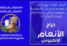 أفضل أوقات البيع في موسم الحج دليل التوقيت الذهبي لزيادة الأرباح في السوق السعودي
