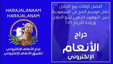 أفضل أوقات البيع في موسم الحج دليل التوقيت الذهبي لزيادة الأرباح في السوق السعودي