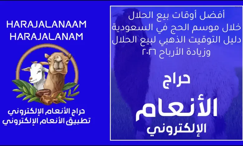 أفضل أوقات البيع في موسم الحج دليل التوقيت الذهبي لزيادة الأرباح في السوق السعودي