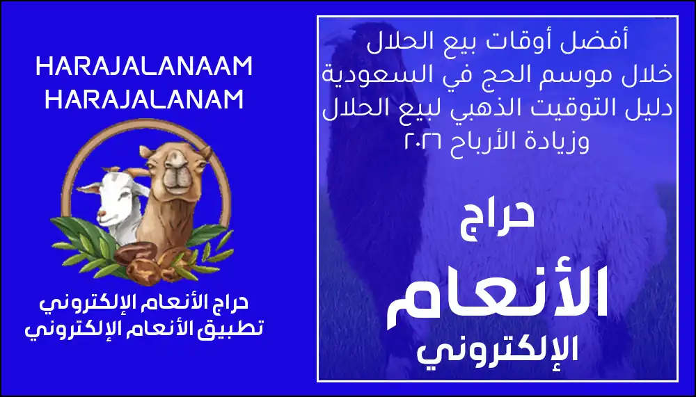 أفضل أوقات البيع في موسم الحج دليل التوقيت الذهبي لزيادة الأرباح في السوق السعودي