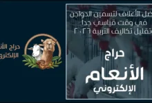 أفضل الأعلاف لتسمين الدواجن في وقت قياسي مع تقليل التكاليف