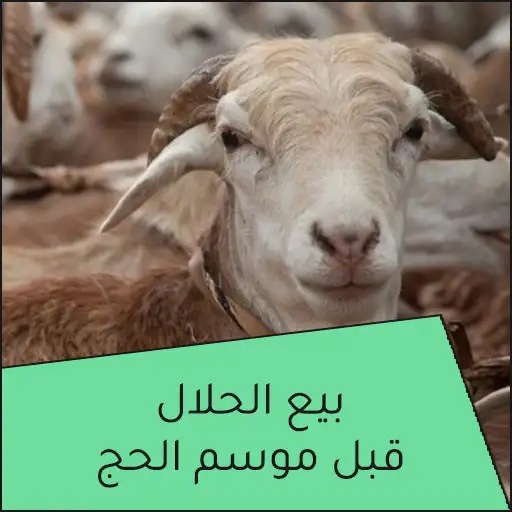 بيع الحلال قبل موسم الحج