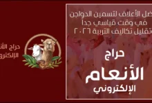 كيف تستفيد من موسم الحج لبيع حلالك بأعلى سعر في حراج الأنعام الإلكتروني 2026 دليل الربح من المواشي