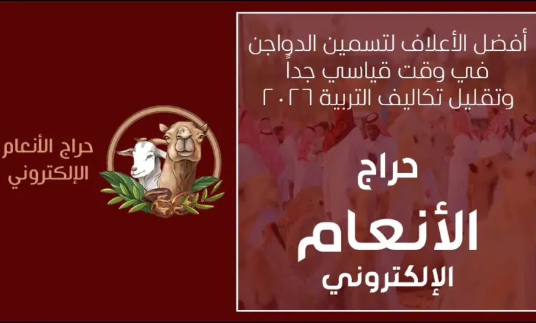 كيف تستفيد من موسم الحج لبيع حلالك بأعلى سعر في حراج الأنعام الإلكتروني 2026 دليل الربح من المواشي