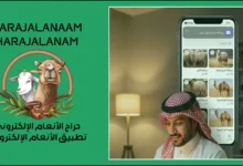 حراج الأنعام الإلكتروني خطوات احترافية لتسريع بيع الأغنام 2026