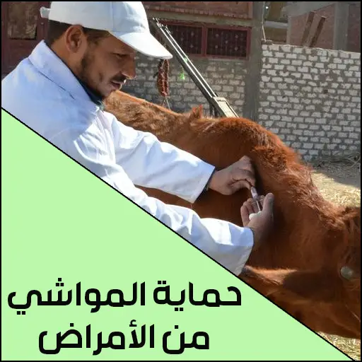 حماية المواشي من الأمراض الموسمية 2026
