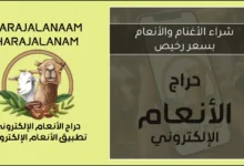 شراء الأغنام والأنعام بسعر رخيص في السعودية والخليج 2026