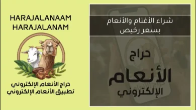 شراء الأغنام والأنعام بسعر رخيص في السعودية والخليج 2026