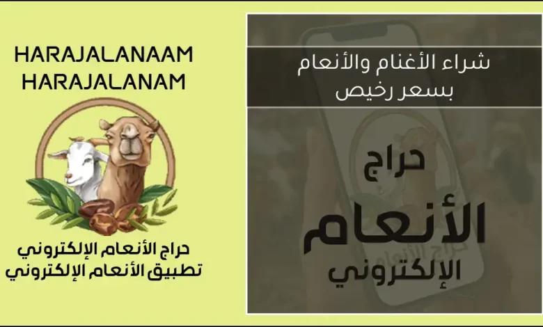 شراء الأغنام والأنعام بسعر رخيص في السعودية والخليج 2026