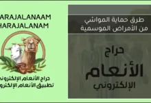 حماية المواشي من الأمراض الموسمية | دليل شامل للوقاية والعناية بالقطيع 2026