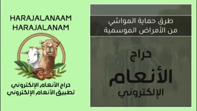 حماية المواشي من الأمراض الموسمية | دليل شامل للوقاية والعناية بالقطيع 2026