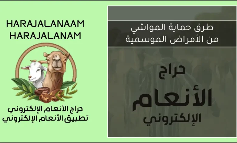 حماية المواشي من الأمراض الموسمية | دليل شامل للوقاية والعناية بالقطيع 2026