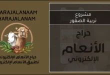مشروع تربية الصقور: التكاليف، الأرباح، وأهم النصائح للمبتدئين