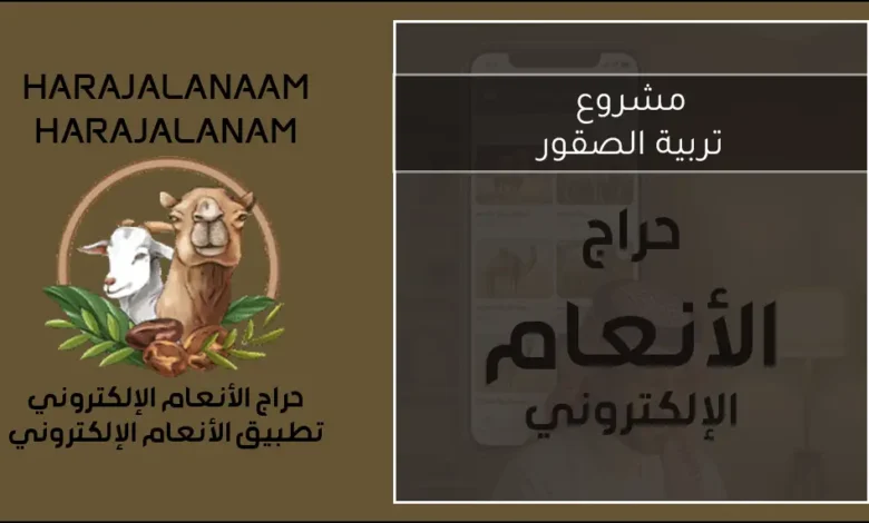 مشروع تربية الصقور: التكاليف، الأرباح، وأهم النصائح للمبتدئين