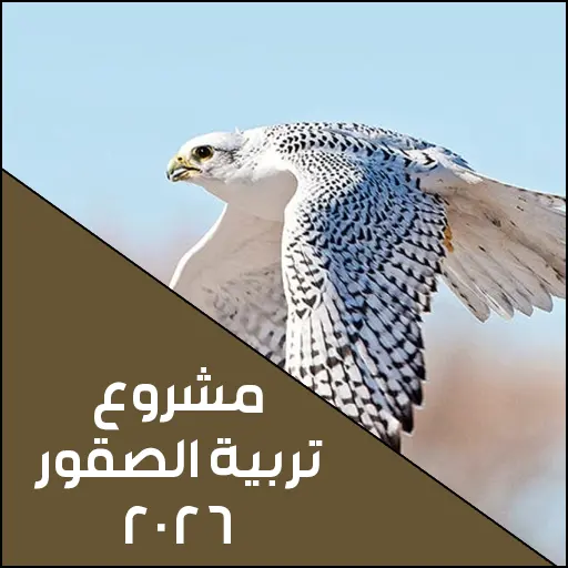 مشروع تربية الصقور في السعودية 2026 حراج الأنعام الإلكتروني